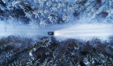 Lloyd Used Car Centre Winter Event
