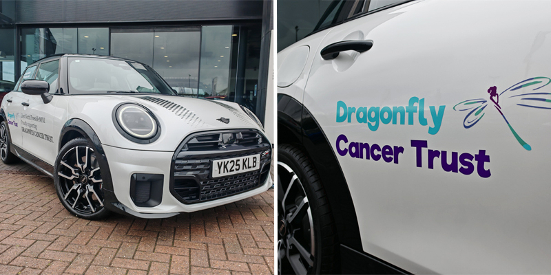 Dragonfly Trust MINI