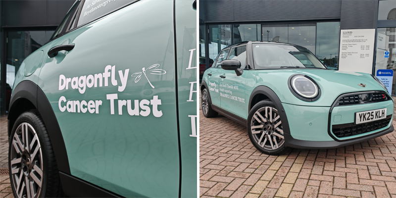 Dragonfly Trust MINI