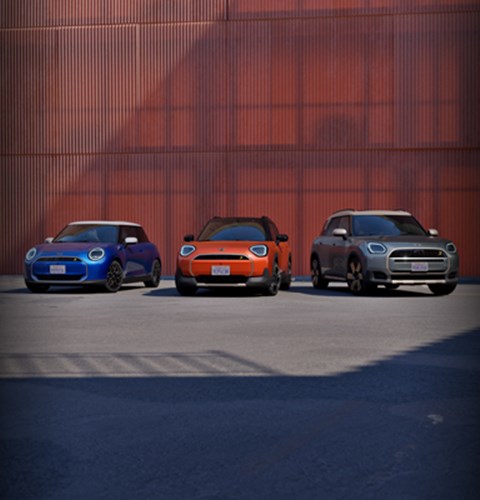 Go Electric With Lloyd MINI