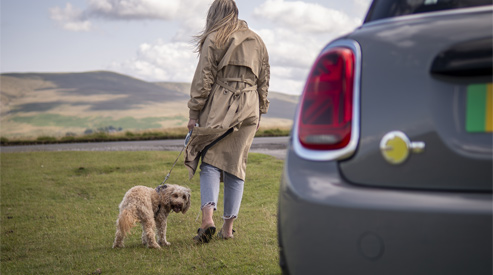 MINI Dog Accessories