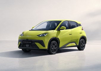 BYD DOLPHIN SURF