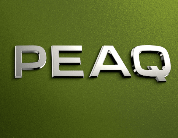 Škoda’s new all-electric 7-seater flagship is called Peaq