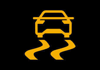 Electronic Stability Problem Warning Light