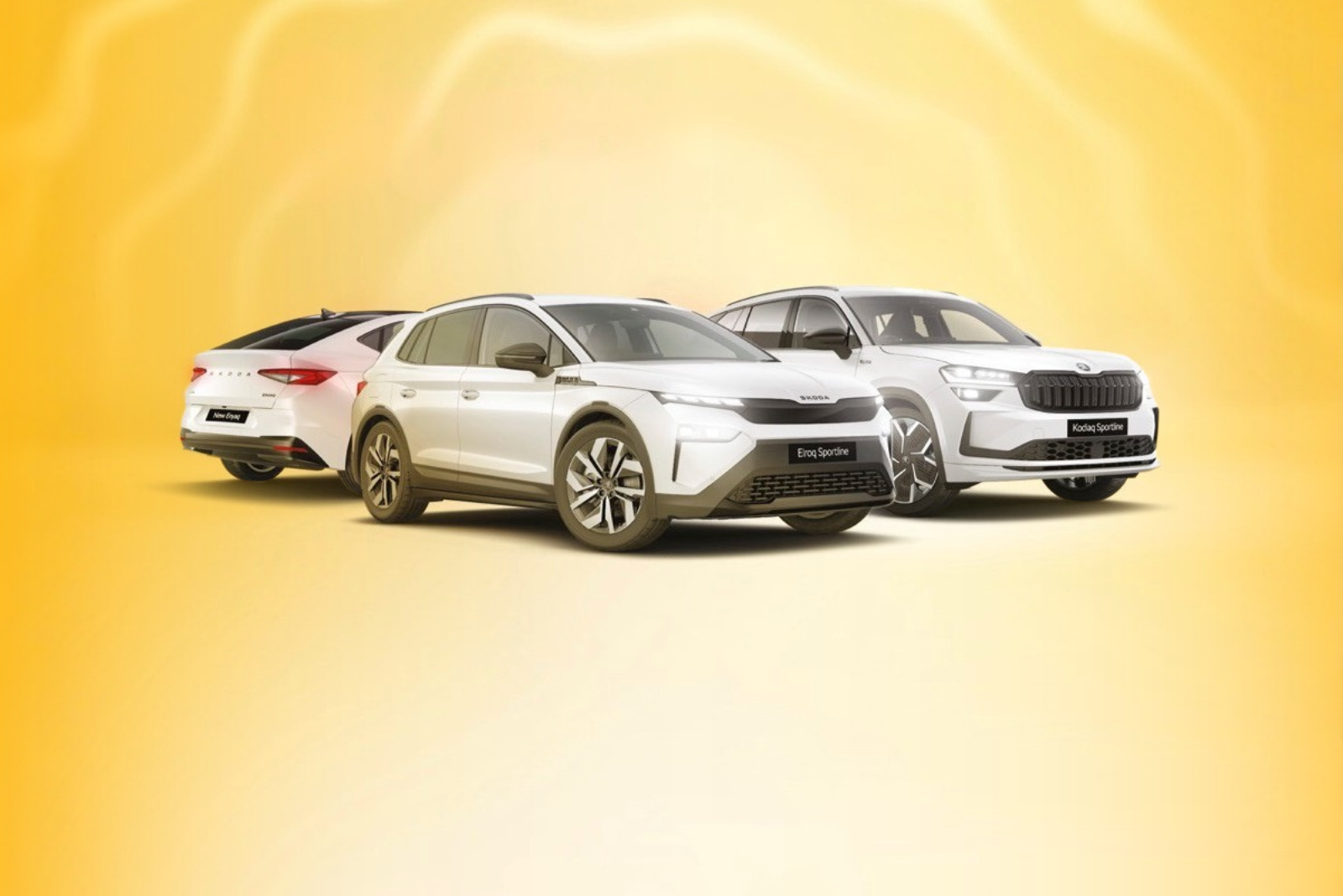 Skoda Summer Drop Event