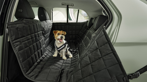 Skoda Dog Accessories