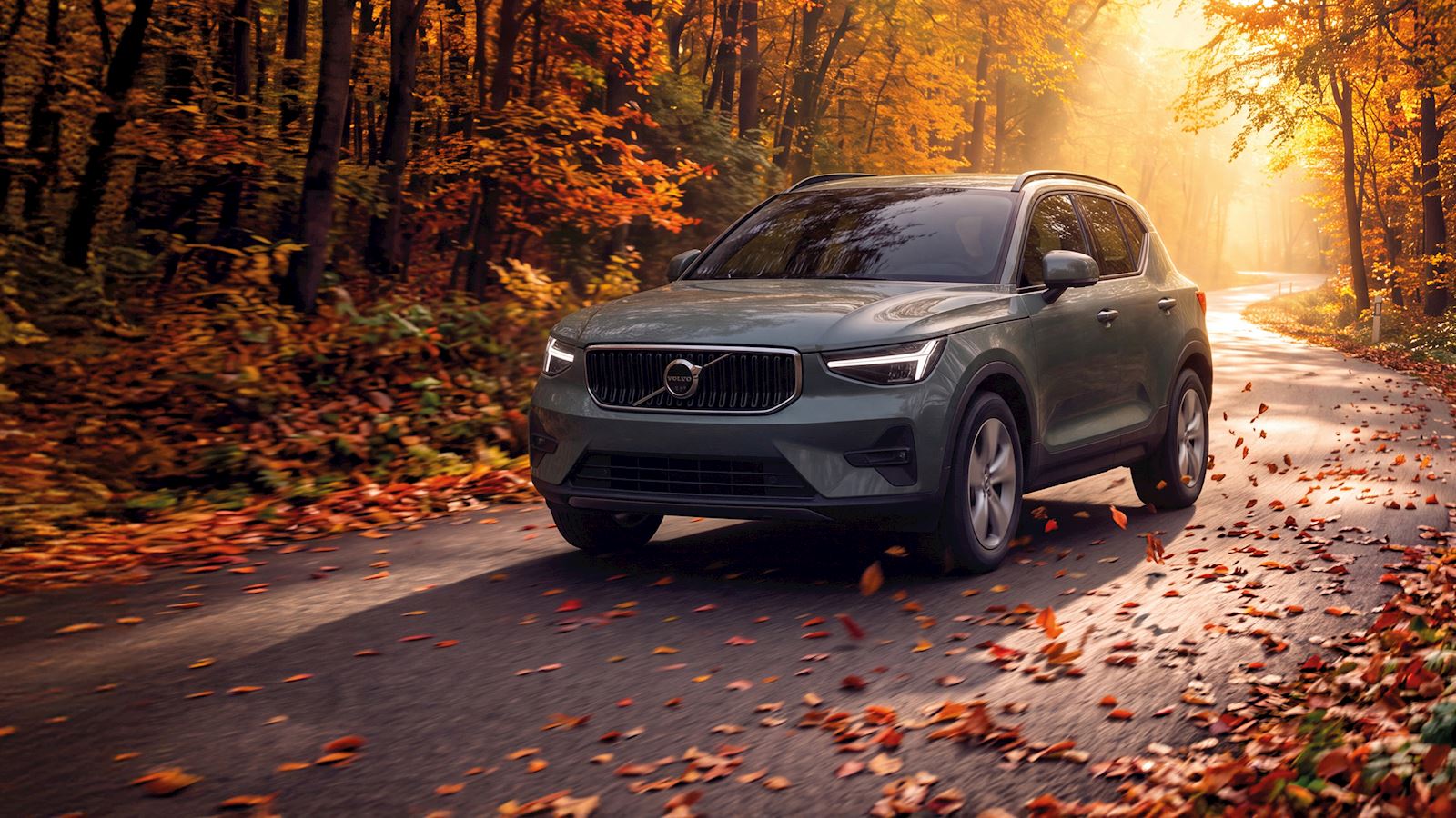 October Upgrade at Lloyd Motor Group