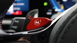 2025 (25) BMW XM 5dr Auto 5023108