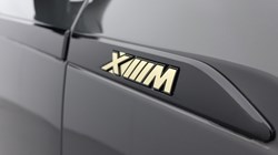 2025 (25) BMW XM 5dr Auto 5449253
