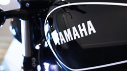 2019 (19) Yamaha SCR950 2752142
