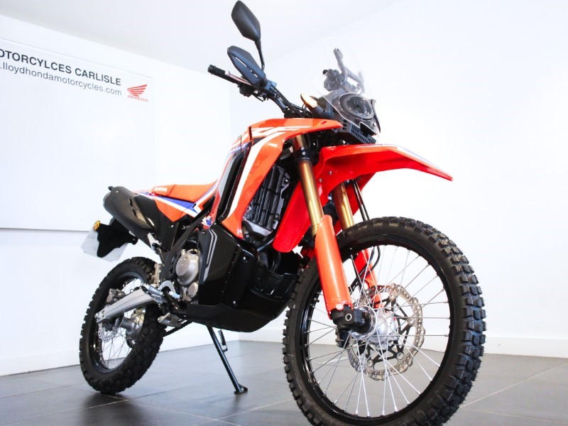 2023 (73) Honda CRF300 Rally 3493739