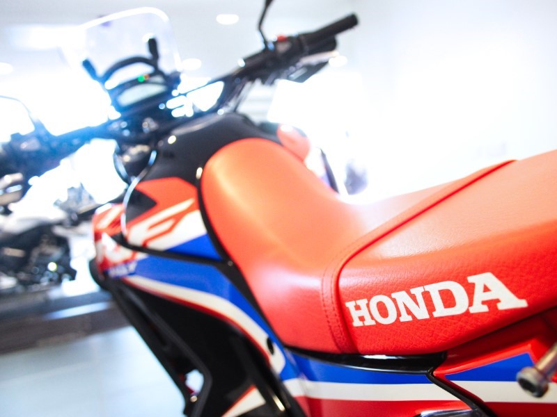 2023 (73) Honda CRF300 Rally 3493748