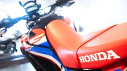 2023 (73) Honda CRF300 Rally 3493748