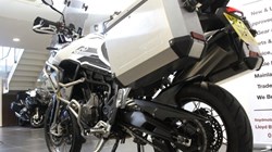 2022 (22) Tiger 900 Rally Pro 4878434