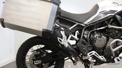 2022 (22) Tiger 900 Rally Pro 4878436