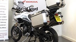 2022 (22) Tiger 900 Rally Pro 4878421