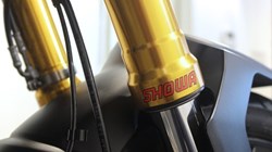 2022 (22) Tiger 900 Rally Pro 4878442