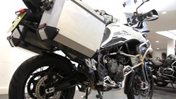 2022 (22) Tiger 900 Rally Pro 4878433