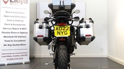 2022 (22) Tiger 900 Rally Pro 4878422