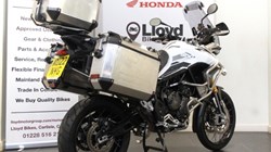 2022 (22) Tiger 900 Rally Pro 4878423