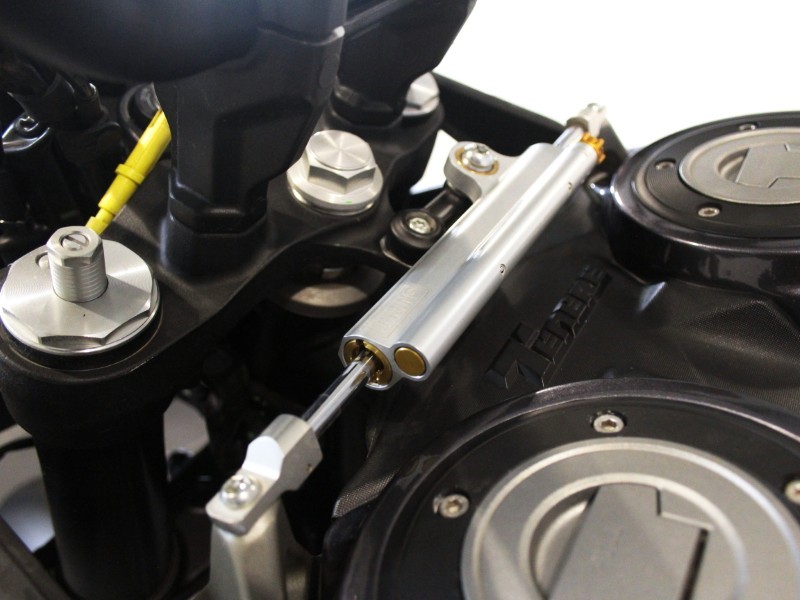 2025 (25) Tenere 700 World Raid 4991983