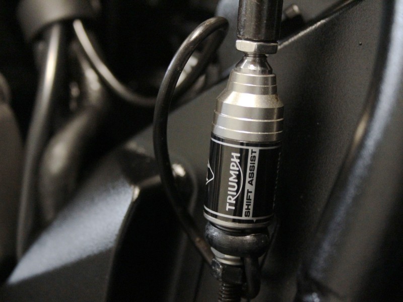 2022 (72) Triumph Tiger 900 Rally Pro 5124453