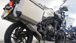 2020 (20) Triumph Tiger 1200 Alpine 5143282