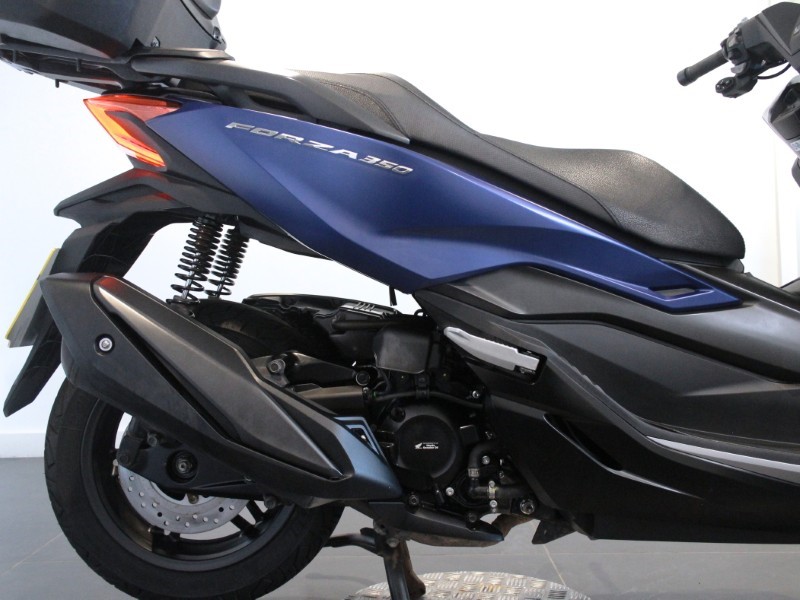 2024 (24) Honda NSS350 Forza 5142351