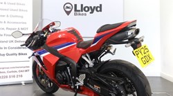 2025 (25) Honda CBR600RR 5763161