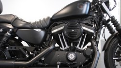 2020 (20) Harley Davidson Sportster Iron XL883N 5360553