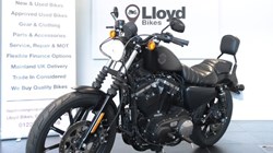 2020 (20) Harley Davidson Sportster Iron XL883N 5360536