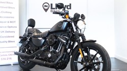 2020 (20) Harley Davidson Sportster Iron XL883N 5360534
