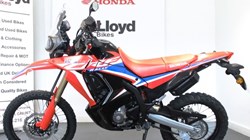 2023 (73) Honda CRF300 Rally 5487724