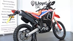 2023 (73) Honda CRF300 Rally 5487727