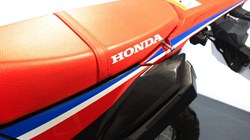 2023 (73) Honda CRF300 Rally 5487741