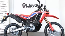 2023 (73) Honda CRF300 Rally 5487728