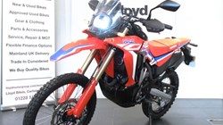2023 (73) Honda CRF300 Rally 5487723