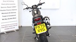 2025 (75) Honda CL500 5530501