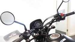 2025 (75) Honda CL500 5530504