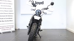 2025 (75) Honda CL500 5530497