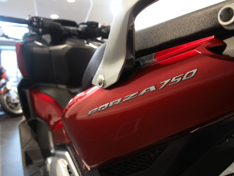 2024 (24) Honda NSS750 Forza 5530566