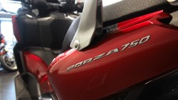 2024 (24) Honda NSS750 Forza 5530566