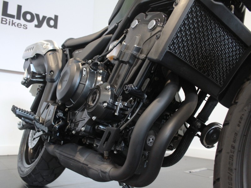 2023 (73) Honda CL500 5559488