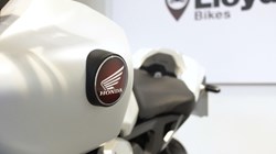 2023 (73) Honda CB1000R 5554292