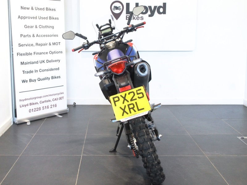 2025 (25) Honda CRF300 Rally 5611768