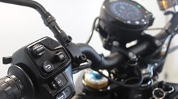 2024 (74) Indian FTR 1200 R Carbon 5594029