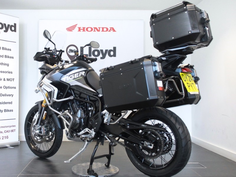 2024 (24) Triumph Tiger 900 Rally Aragon 5594154