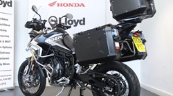 2024 (24) Triumph Tiger 900 Rally Aragon 5594154
