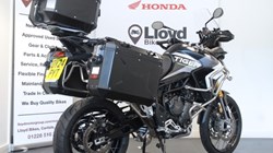 2024 (24) Triumph Tiger 900 Rally Aragon 5594156