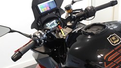 2024 (24) Kawasaki Ninja Z1000 SX 40th Anniversary Edition 5643952